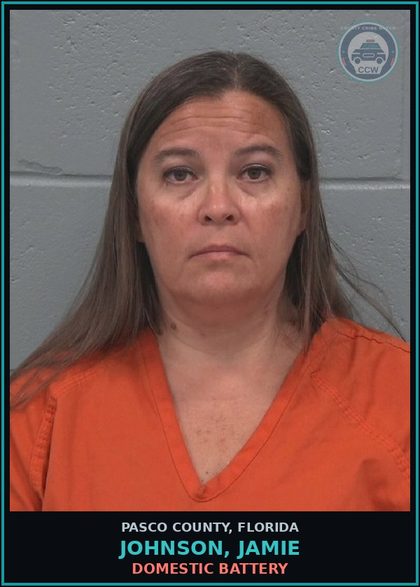 CCW arrest card for JOHNSON, JAMIE in Pasco County: DOMESTIC BATTERY