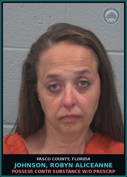 CCW arrest card for JOHNSON, ROBYN ALICEANNE in Pasco County: POSSESS contr substance W/O PRESCRIPTION