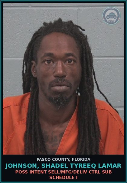 CCW arrest card for JOHNSON, SHADEL TYREEQ LAMAR in Pasco County: POSSESS contr substance W/O PRESCRIPTION