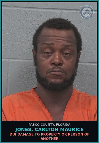 CCW arrest card for JONES, CARLTON MAURICE in Pasco County: DUI DAMAGE TO PROPERTY OR PERSON OF ANOTHER