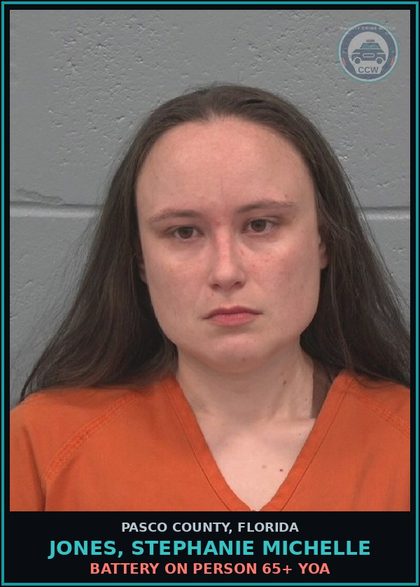 CCW arrest card for JONES, STEPHANIE MICHELLE in Pasco County: ABUSE chld WITHOUT GREAT BODILY HARM