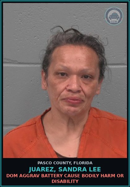 CCW arrest card for JUAREZ, SANDRA LEE in Pasco County: DOM AGGRAV BATTERY CAUSE BODILY HARM OR DISABILITY