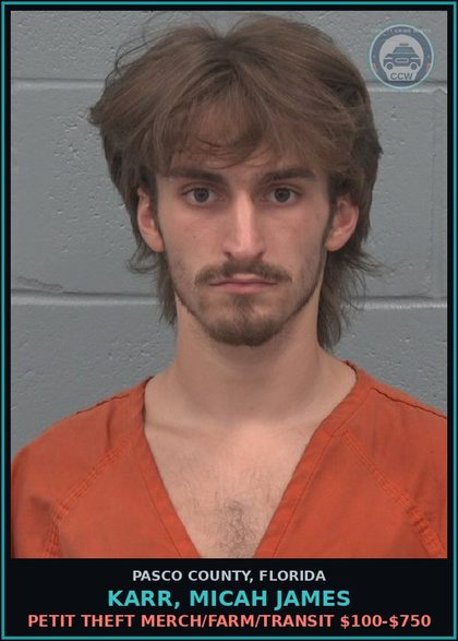 CCW arrest card for KARR, MICAH JAMES in Pasco County: PETIT THEFT MERCH/FARM/TRANSIT $100-$750
