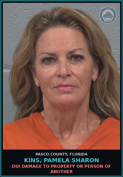 CCW arrest card for KINS, PAMELA SHARON in Pasco County: DUI DAMAGE TO PROPERTY OR PERSON OF ANOTHER