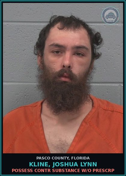CCW arrest card for KLINE, JOSHUA LYNN in Pasco County: POSSESS contr substance W/O PRESCRIPTION