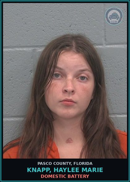 CCW arrest card for KNAPP, HAYLEE MARIE in Pasco County: DOMESTIC BATTERY