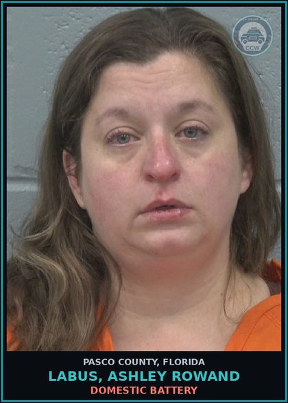 CCW arrest card for LABUS, ASHLEY ROWAND in Pasco County: DOMESTIC BATTERY