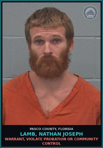 CCW arrest card for LAMB, NATHAN JOSEPH in Pasco County: WARRANT, VIOLATE PROBATION OR COMMUNITY CONTROL