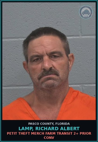 CCW arrest card for LAMP, RICHARD ALBERT in Pasco County: PETIT THEFT MERCH FARM TRANSIT 2+ PRIOR CONV