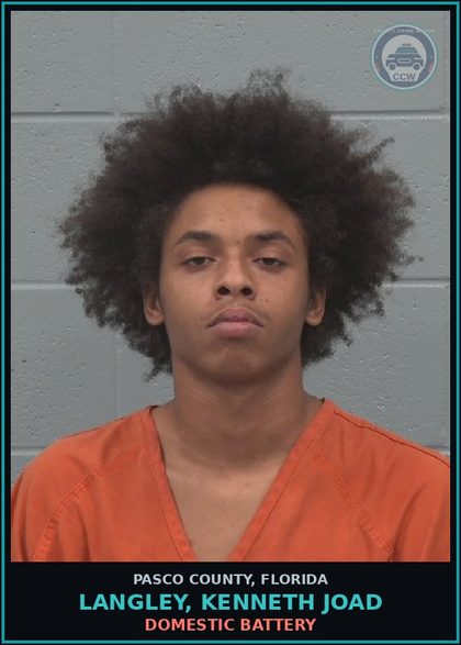 CCW arrest card for LANGLEY, KENNETH JOAD in Pasco County: DOMESTIC BATTERY
