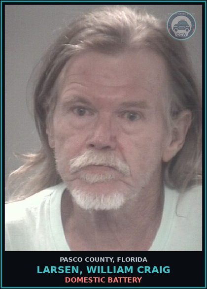 CCW arrest card for LARSEN, WILLIAM CRAIG in Pasco County: DOMESTIC BATTERY