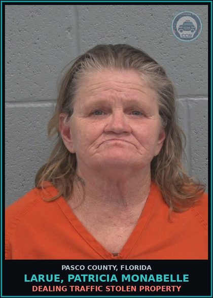 CCW arrest card for LARUE, PATRICIA MONABELLE in Pasco County: DEALING TRAFFIC STOLEN PROPERTY