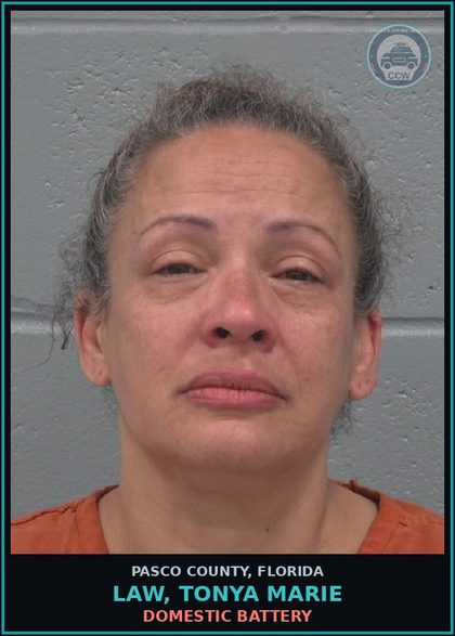 CCW arrest card for LAW, TONYA MARIE in Pasco County: DOMESTIC BATTERY