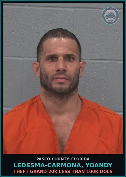CCW arrest card for LEDESMA-CARMONA, YOANDY in Pasco County: THEFT GRAND 20K LESS THAN 100K DOLS