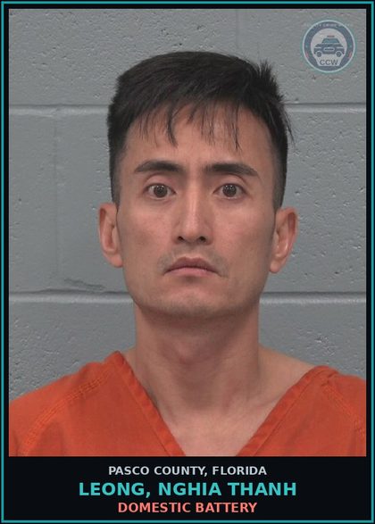CCW arrest card for LEONG, NGHIA THANH in Pasco County: DOMESTIC BATTERY