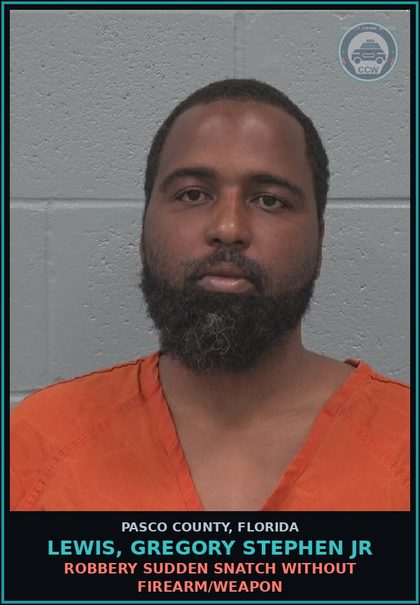 CCW arrest card for LEWIS, GREGORY STEPHEN JR in Pasco County: ROBBERY SUDDEN SNATCH WITHOUT FIREARM/WEAPON