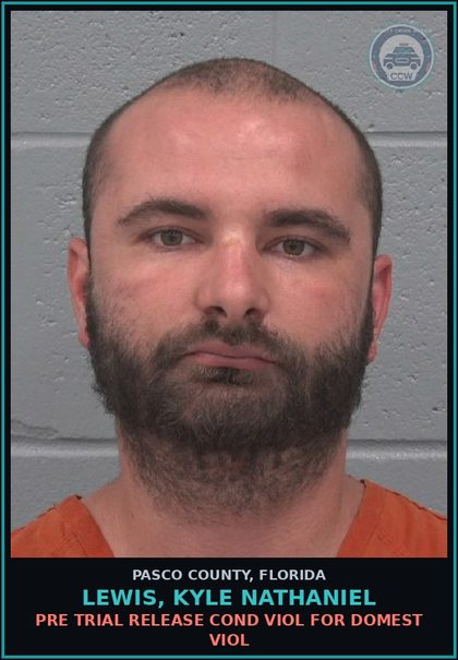 CCW arrest card for LEWIS, KYLE NATHANIEL in Pasco County: PRE TRIAL RELEASE COND VIOL FOR DOMEST VIOL