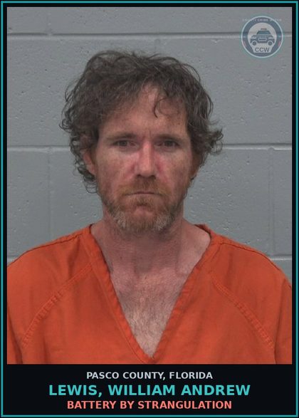 CCW arrest card for LEWIS, WILLIAM ANDREW in Pasco County: BATTERY BY STRANGULATION