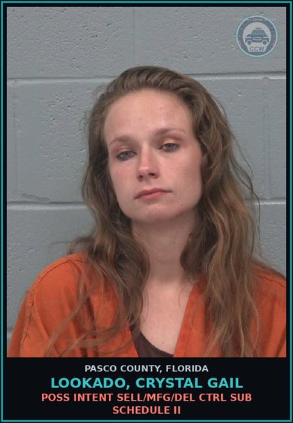 CCW arrest card for LOOKADO, CRYSTAL GAIL in Pasco County: POSS INTENT SELL/MFG/DEL CTRL SUB SCHEDULE II