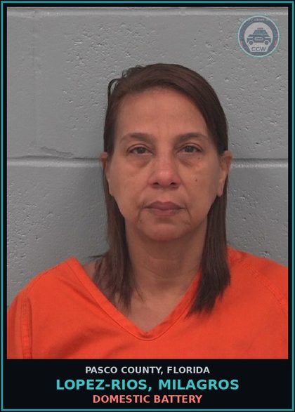 CCW arrest card for LOPEZ-RIOS, MILAGROS in Pasco County: DOMESTIC BATTERY