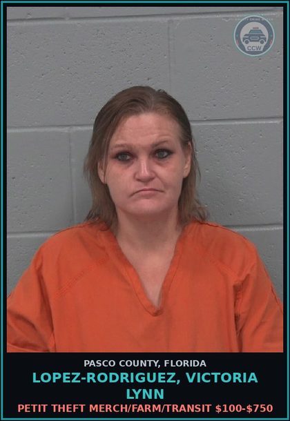 CCW arrest card for LOPEZ-RODRIGUEZ, VICTORIA LYNN in Pasco County: PETIT THEFT MERCH/FARM/TRANSIT $100-$750