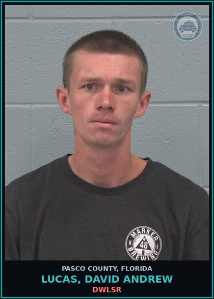 CCW arrest card for LUCAS, DAVID ANDREW in Pasco County: DWLSR