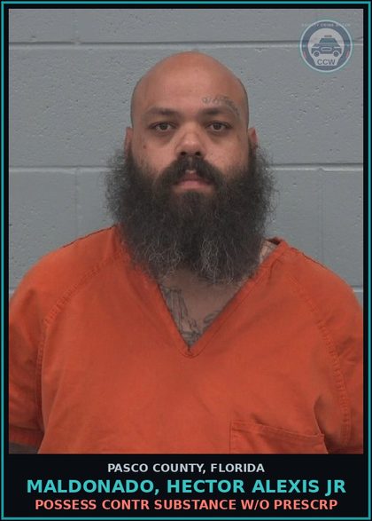 CCW arrest card for MALDONADO, HECTOR ALEXIS JR in Pasco County: POSSESS contr substance W/O PRESCRIPTION