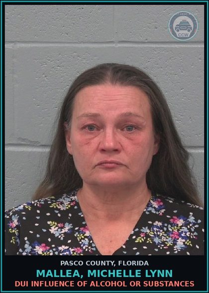 CCW arrest card for MALLEA, MICHELLE LYNN in Pasco County: DUI INFLUENCE OF ALCOHOL OR DRUGS