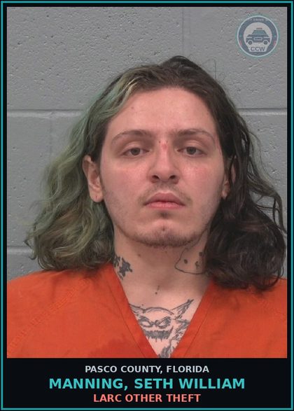 CCW arrest card for MANNING, SETH WILLIAM in Pasco County: LARC OTHER THEFT