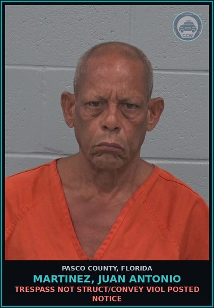 CCW arrest card for MARTINEZ, JUAN ANTONIO in Pasco County: TRESPASS NOT STRUCT/CONVEY VIOL POSTED NOTICE
