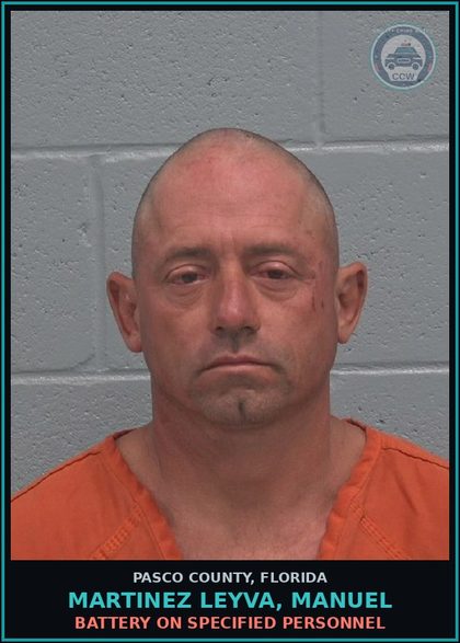 CCW arrest card for MARTINEZ LEYVA, MANUEL in Pasco County: RESIST OFFICER WITH VIOLENCE