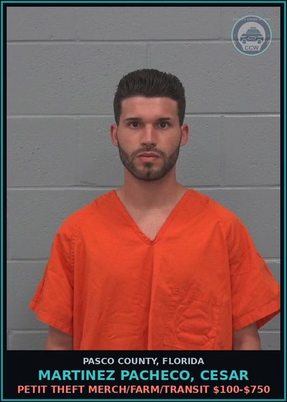 CCW arrest card for MARTINEZ PACHECO, CESAR in Pasco County: PETIT THEFT MERCH/FARM/TRANSIT $100-$750