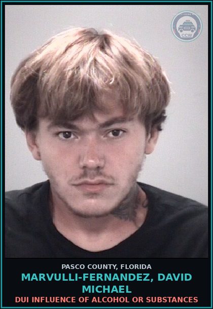 CCW arrest card for MARVULLI-FERNANDEZ, DAVID MICHAEL in Pasco County: POSSESS contr substance W/O PRESCRIPTION
