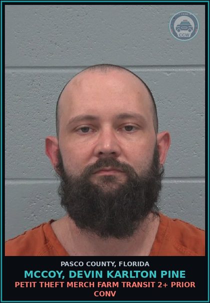 CCW arrest card for MCCOY, DEVIN KARLTON PINE in Pasco County: PETIT THEFT MERCH FARM TRANSIT 2+ PRIOR CONV