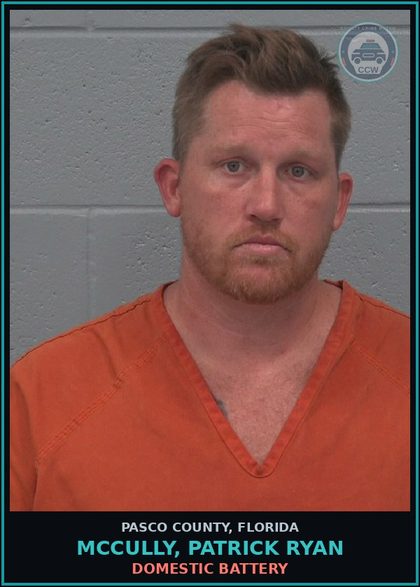 CCW arrest card for MCCULLY, PATRICK RYAN in Pasco County: DOMESTIC BATTERY