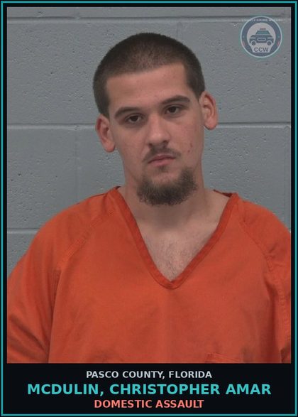 CCW arrest card for MCDULIN, CHRISTOPHER AMAR in Pasco County: DOMESTIC ASSAULT