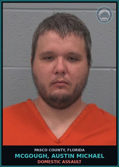 CCW arrest card for MCGOUGH, AUSTIN MICHAEL in Pasco County: DOMESTIC ASSAULT