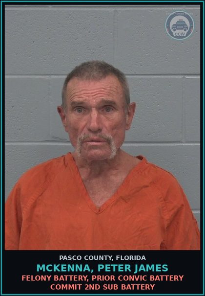 CCW arrest card for MCKENNA, PETER JAMES in Pasco County: FELONY BATTERY, PRIOR CONVIC BATTERY COMMIT 2ND SUB BATTERY
