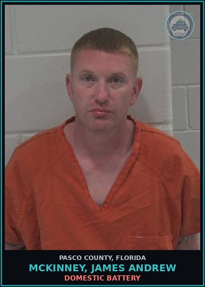 CCW arrest card for MCKINNEY, JAMES ANDREW in Pasco County: DOMESTIC BATTERY