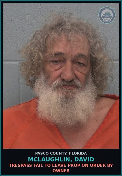 CCW arrest card for MCLAUGHLIN, DAVID in Pasco County: TRESPASS FAIL TO LEAVE PROP ON ORDER BY OWNER