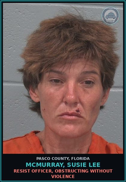 CCW arrest card for MCMURRAY, SUSIE LEE in Pasco County: POSSESS contr substance W/O PRESCRIPTION