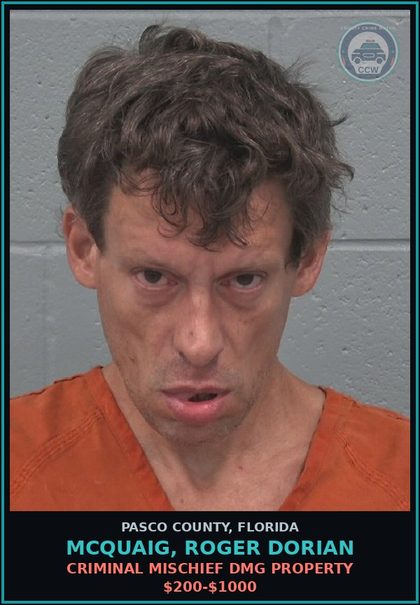 CCW arrest card for MCQUAIG, ROGER DORIAN in Pasco County: CRIMINAL MISCHIEF DMG PROPERTY $200-$1000