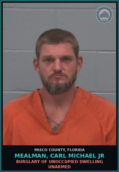 CCW arrest card for MEALMAN, CARL MICHAEL JR in Pasco County: BURGLARY OF UNOCCUPIED DWELLING UNARMED
