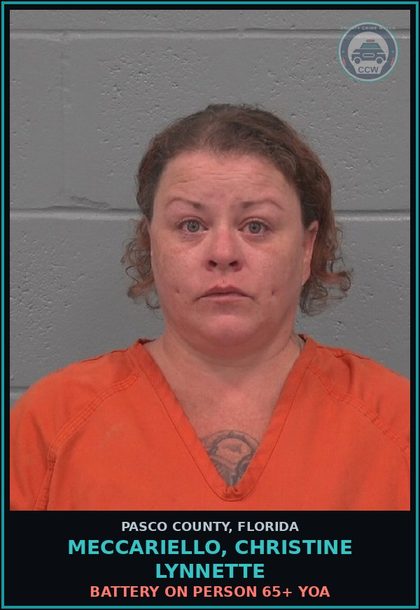 CCW arrest card for MECCARIELLO, CHRISTINE LYNNETTE in Pasco County: BATTERY ON PERSON 65+ YOA