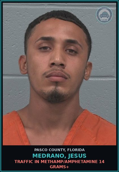 CCW arrest card for MEDRANO, JESUS in Pasco County: TRAFFIC IN METH/AMPHETAMINE 14 GRAMS+