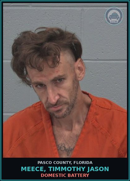 CCW arrest card for MEECE, TIMMOTHY JASON in Pasco County: DOMESTIC BATTERY