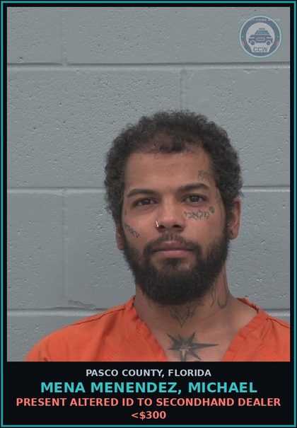 CCW arrest card for MENA MENENDEZ, MICHAEL in Pasco County: PRESENT ALTERED ID TO SECONDHAND DEALER <$300