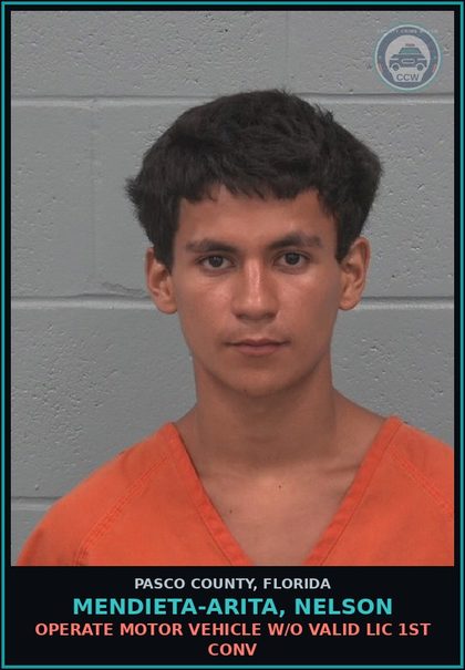 CCW arrest card for MENDIETA-ARITA, NELSON in Pasco County: OPERATE MOTOR VEHICLE W/O VALID LIC 1ST CONV