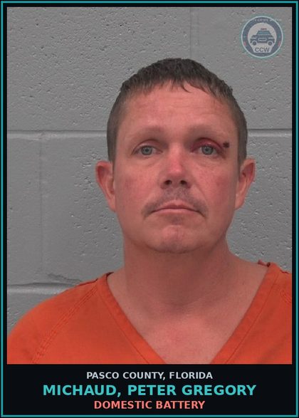 CCW arrest card for MICHAUD, PETER GREGORY in Pasco County: DOMESTIC BATTERY