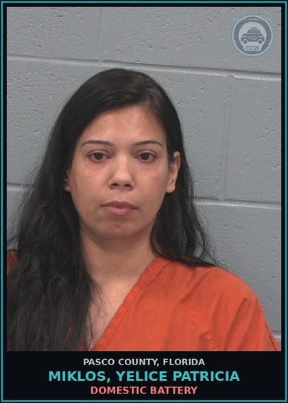 CCW arrest card for MIKLOS, YELICE PATRICIA in Pasco County: DOMESTIC BATTERY